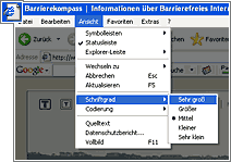 Detail zur Vergrößerungsfunktion im Internet Explorer