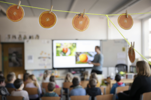 Angebot Faire Orangen