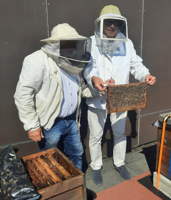 Bienen2