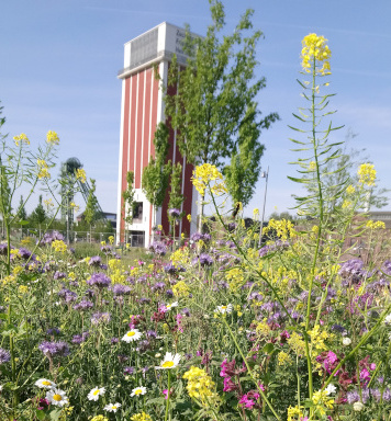 Bienen
