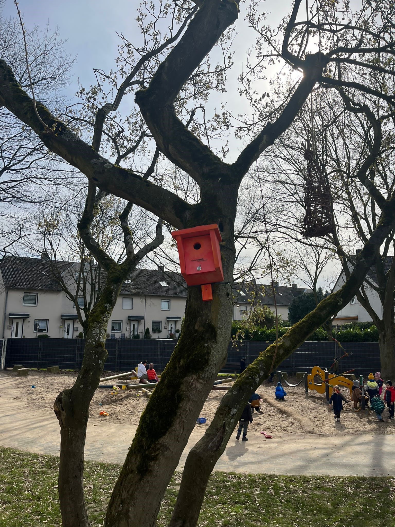 Nistkästen-Aktion der Kita Löwenzahn Foto 2