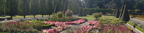 Blütenpracht im Terrassengarten
