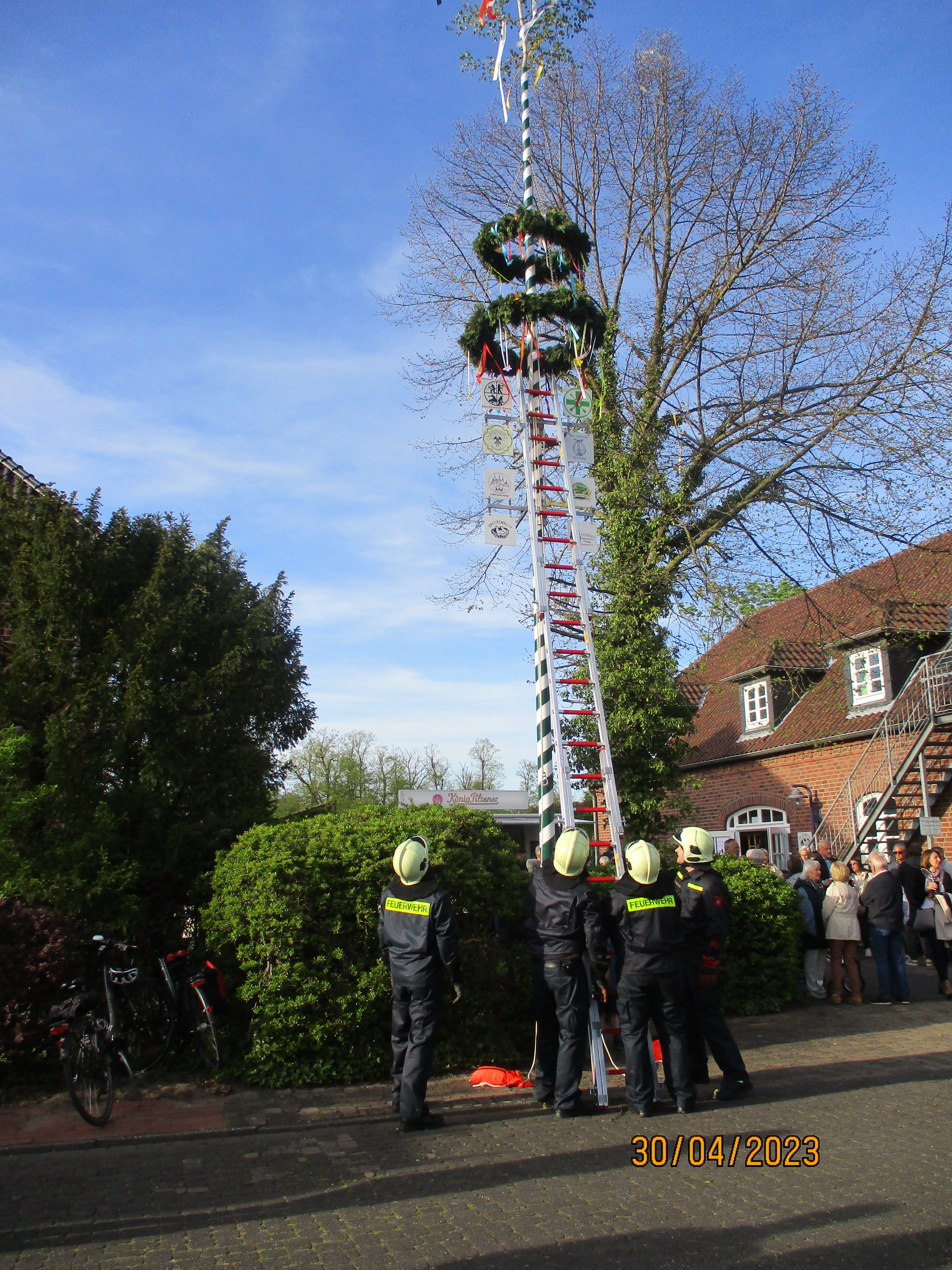 Maibaum