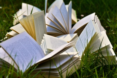Bücher aufgeschlagen auf einer Wiese