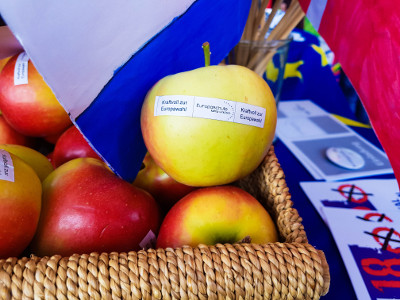Äpfel zur Verteilaktion der Europaschule