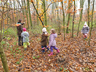 Kitakinder erkunden den Wald