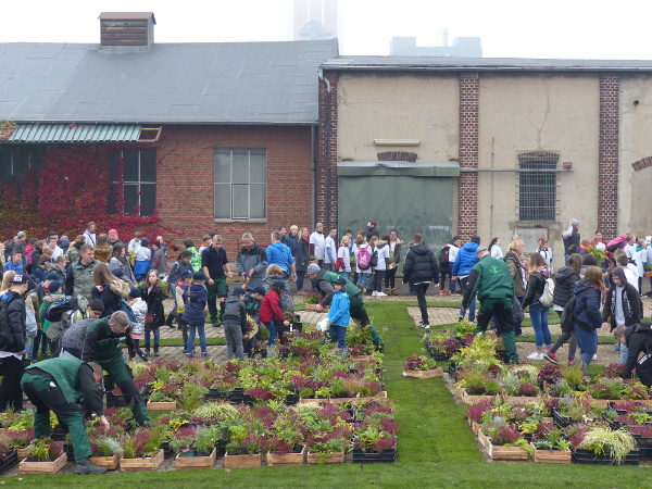 Besuch Bewertungskommission Landesgartenschau - Gartenflashmob