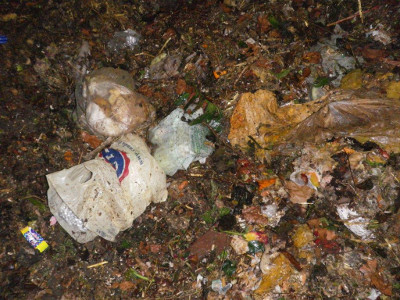 Fehlbefüllung Biotonne