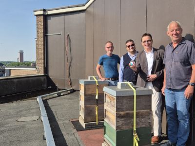 Bienen