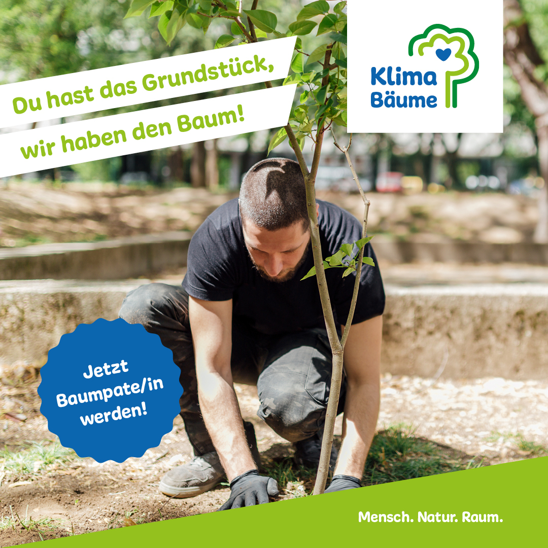Klimabaeume