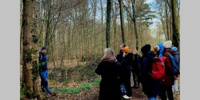Wald